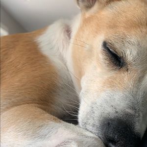 Meet your Posher, Mo Z